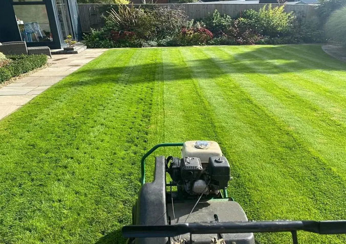 Comprehensive Lawn Care & Maintenance Services