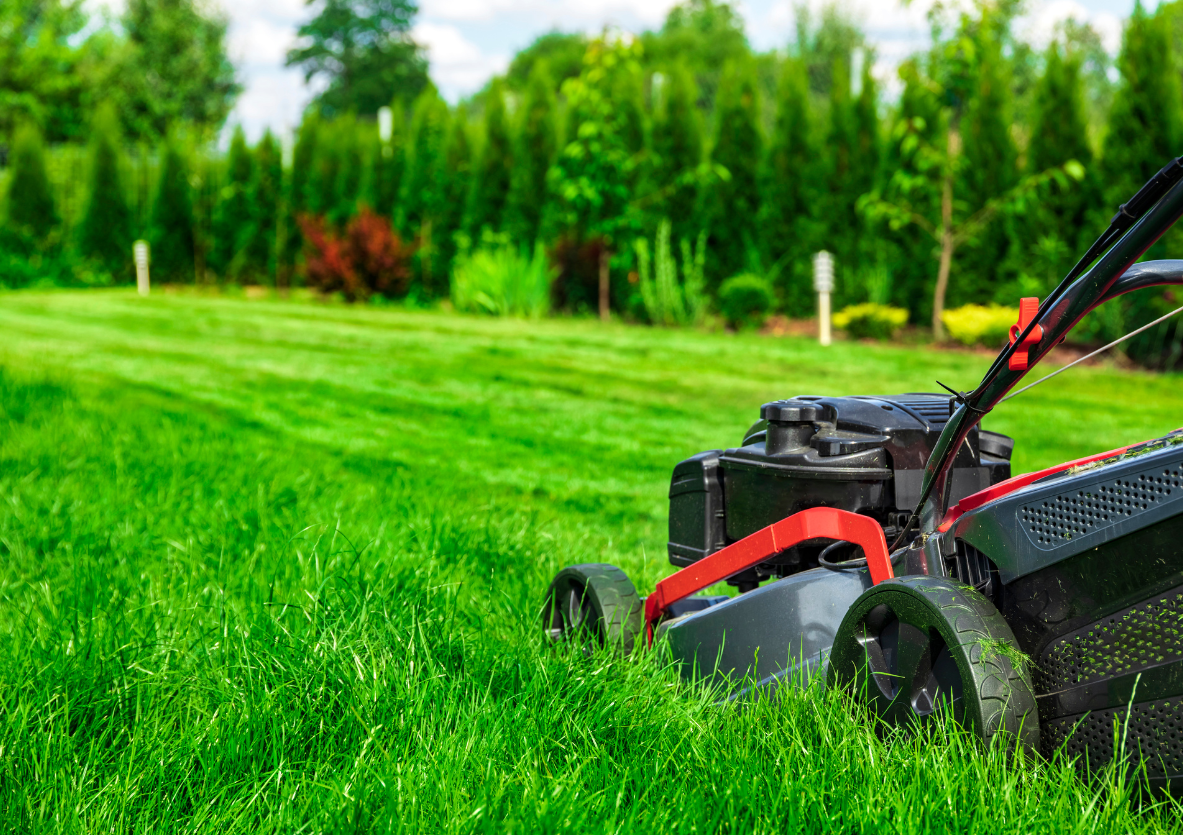Lawn Care Services in Humble, TX