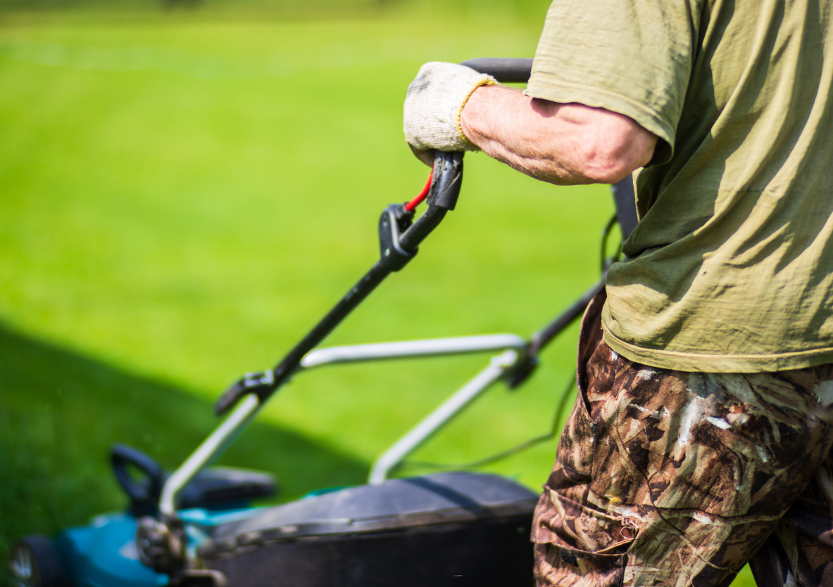 Affordable and Reliable Lawn Care Services in Humble, TX