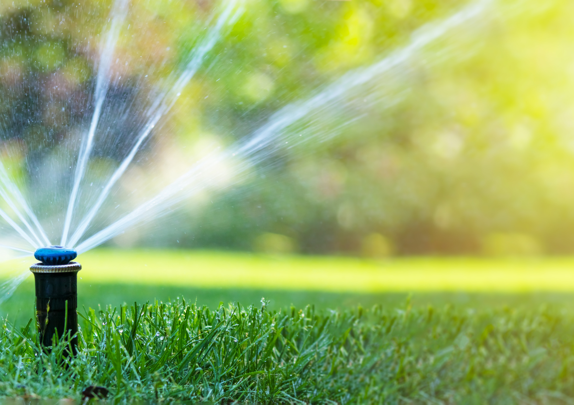 Lawn Fertilization and Lawn Seeding Services in Spring, TX