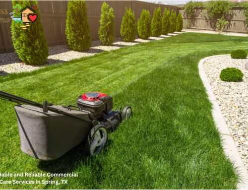 Affordable and Reliable Commercial Lawn Care Services in Spring, TX