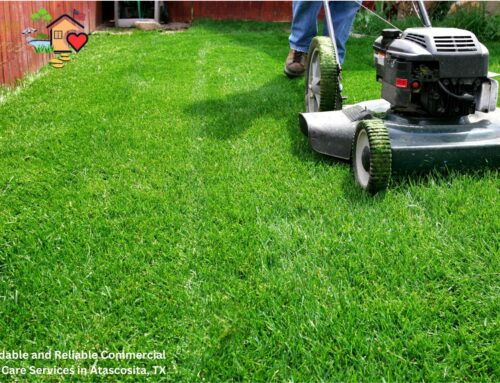 Affordable and Reliable Commercial Lawn Care Services in Atascosita, TX