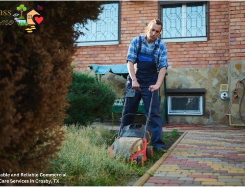 Affordable and Reliable Commercial Lawn Care Services in Crosby, TX