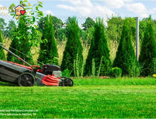 Affordable and Reliable Commercial Lawn Care Services in Dayton, TX