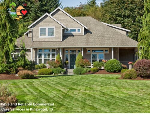 Affordable and Reliable Commercial Lawn Care Services in Kingwood, TX