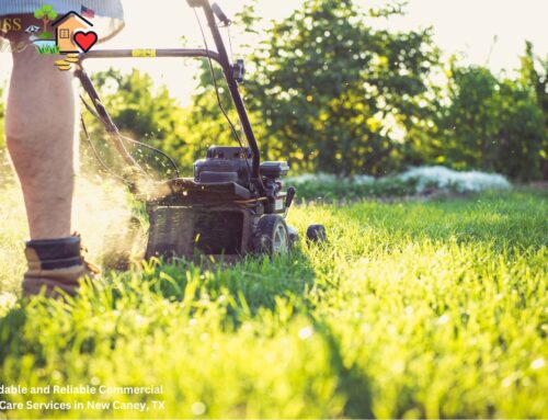 Affordable and Reliable Commercial Lawn Care Services in New Caney, TX