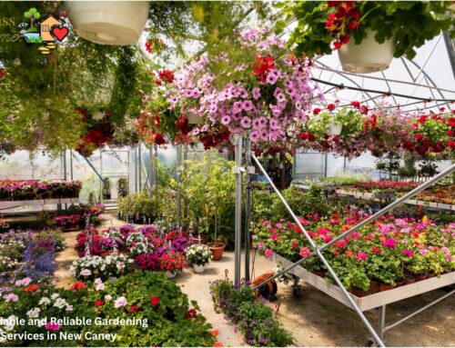 Affordable and Reliable Gardening Services in New Caney