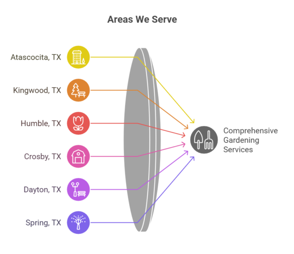 Areas We Serve
