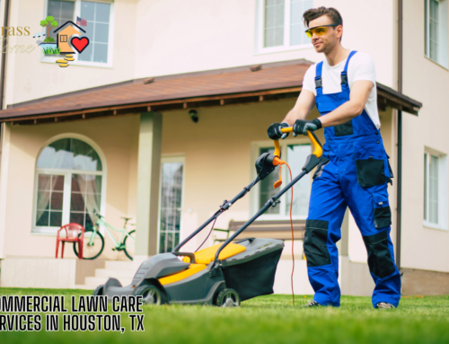 Commercial Lawn Care in Houston, TX