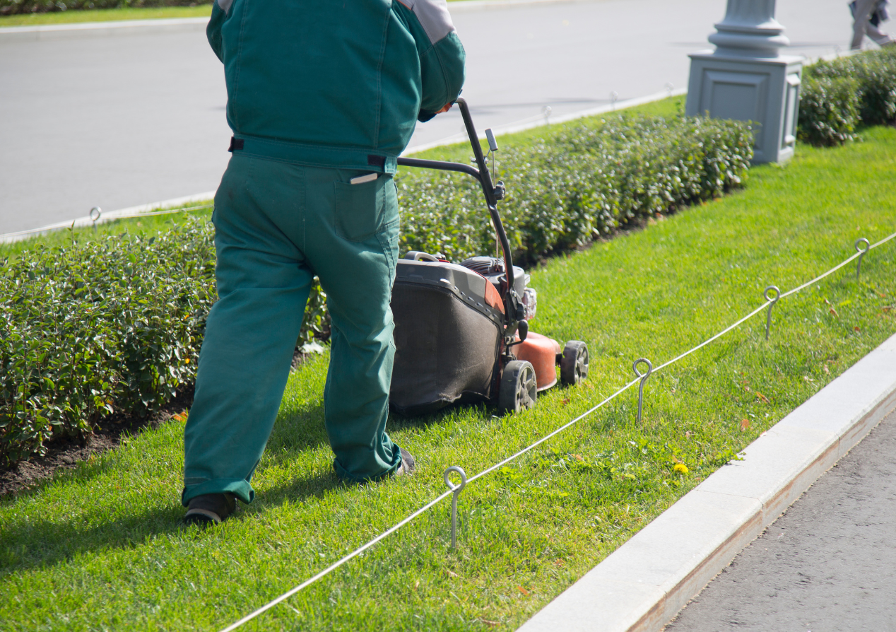 Affordable and Reliable Lawn Care Services in Kingwood, TX
