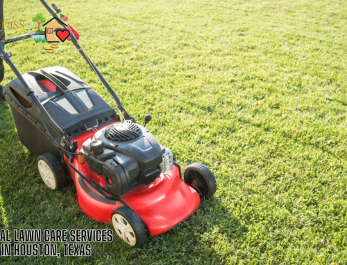 Local Lawn Care Services in Houston, Texas!