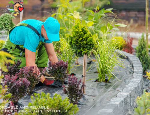 Affordable and Reliable Gardening Services in Dayton, TX