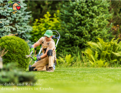 Affordable and Reliable Gardening Services in Crosby