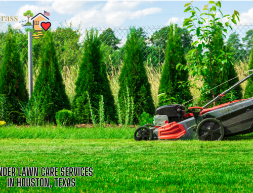 Tender Lawn Care Services in Houston, Texas